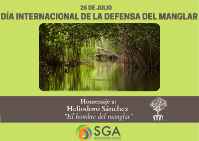 26 De Julio: Día Internacional De La Defensa Del Manglar | Sistema De ...